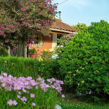 Casa vacanze Rose Garden 2 Kávos